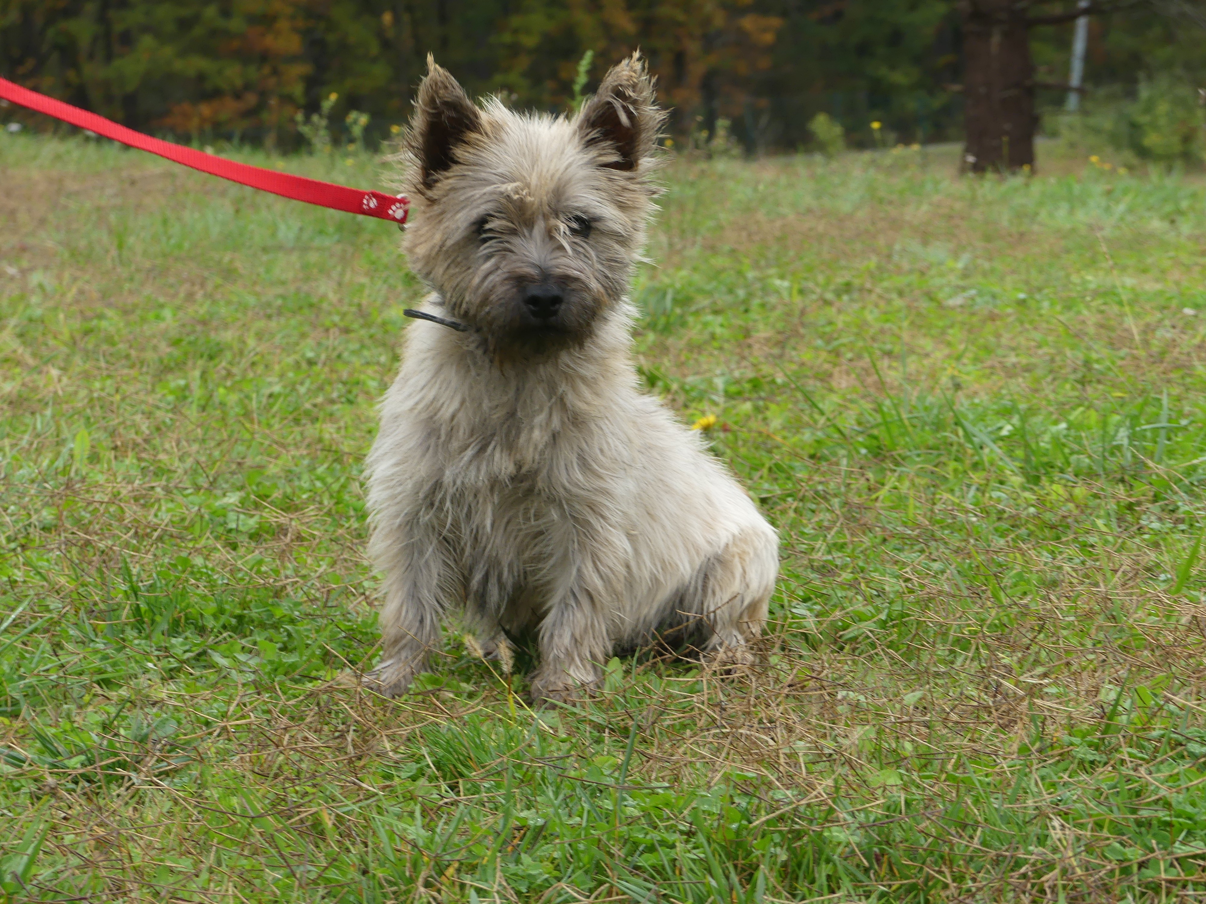 Publication : du Domaine des Ecorces 