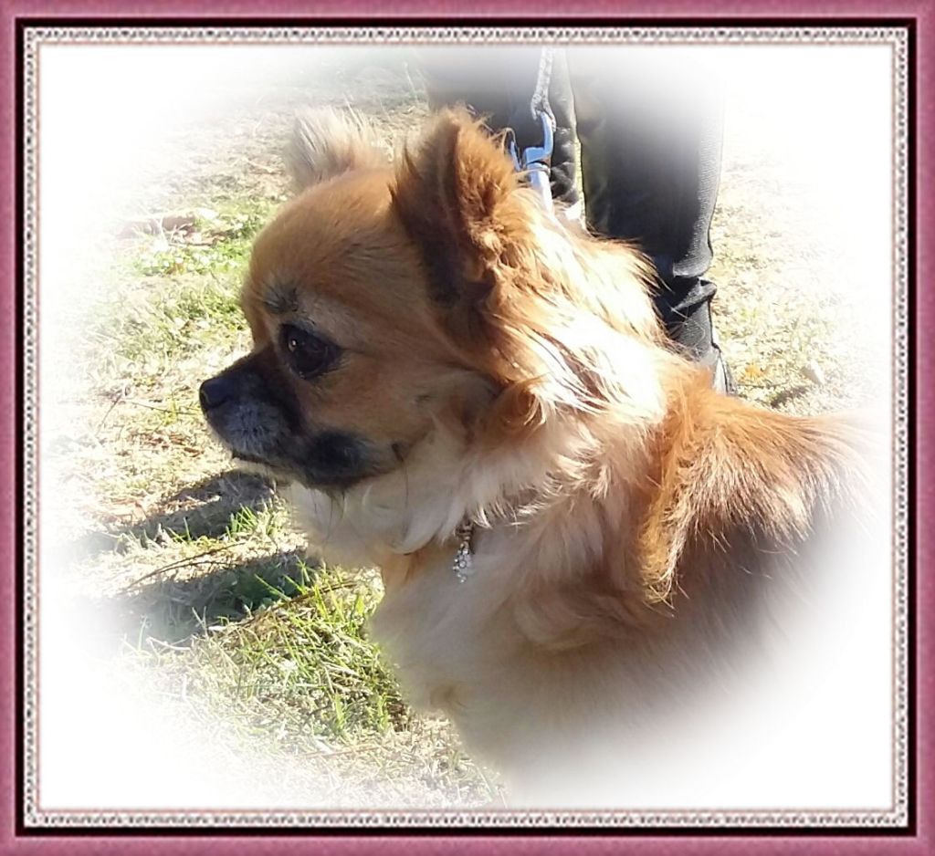 Publication : Of Elderflower Cottage