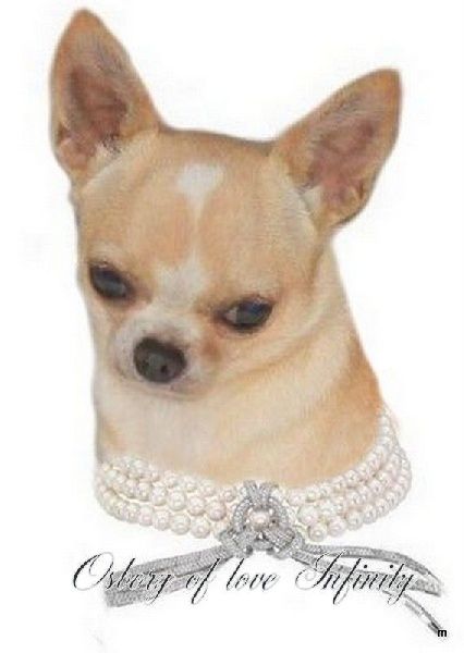 Infinity O'sborg Of Love