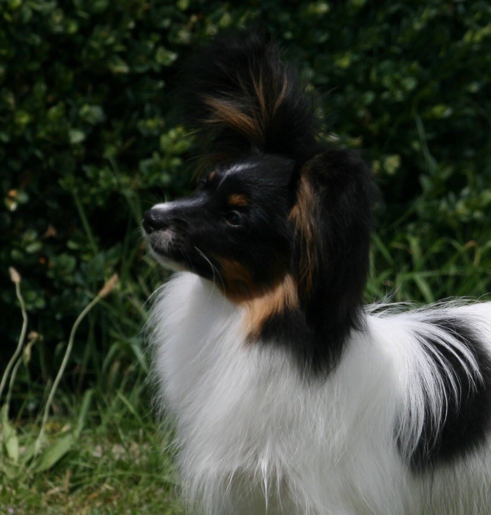 Publication : of whitsunday Ranch