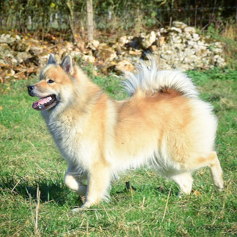 Maïllee Du Coeur De La Claudière