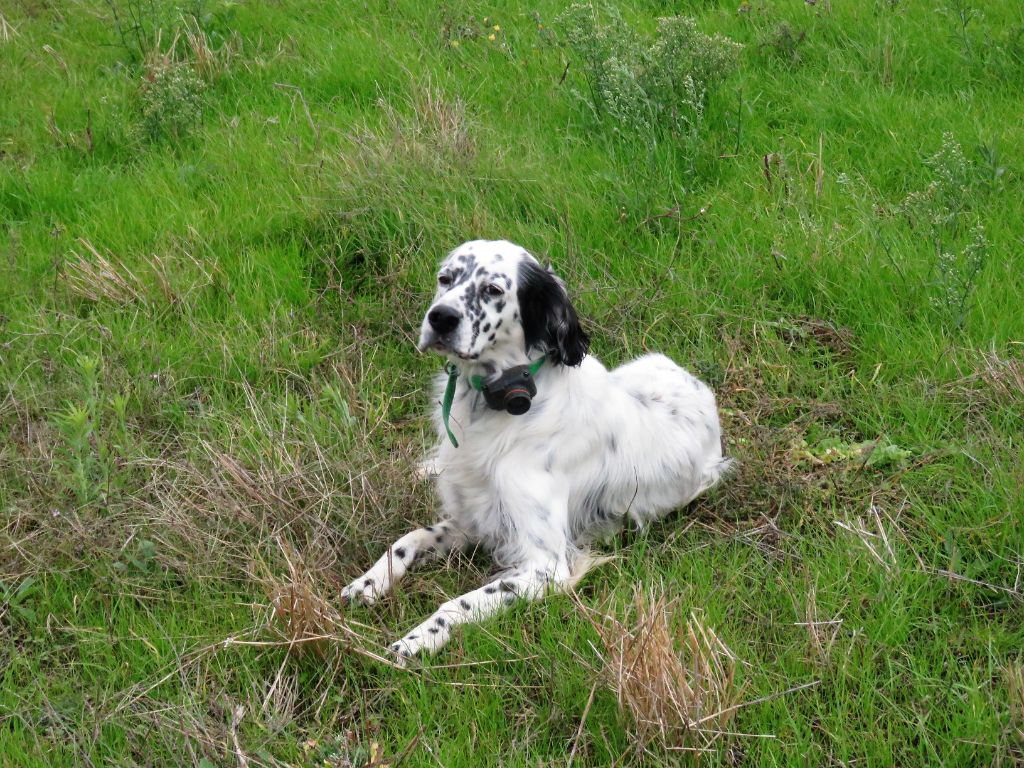 Publication : des pics luchonnais 