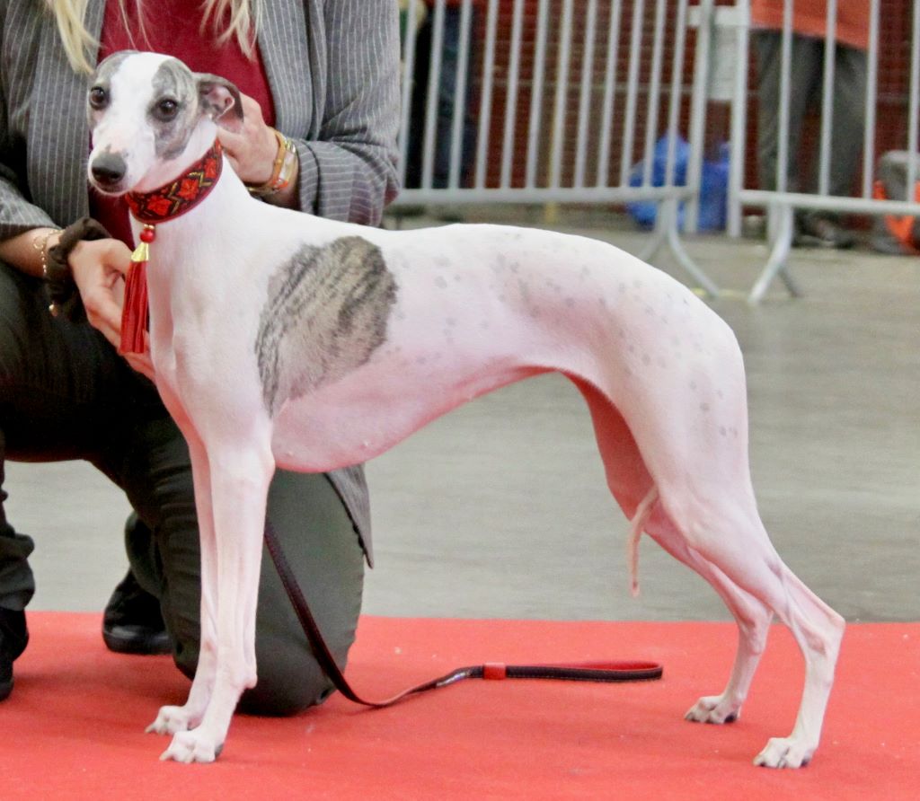 Publication : Du cap des embruns Auteur : Du cap des embruns