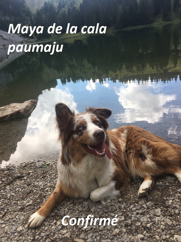 Publication : du Clos des Rosses