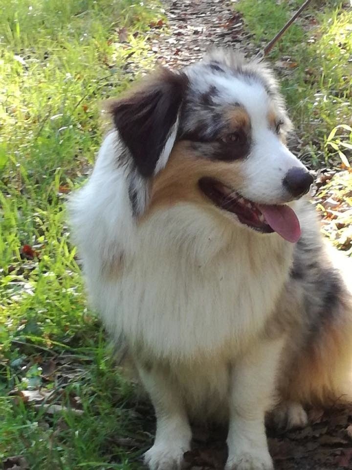 Publication : du Jardin des Heliades 