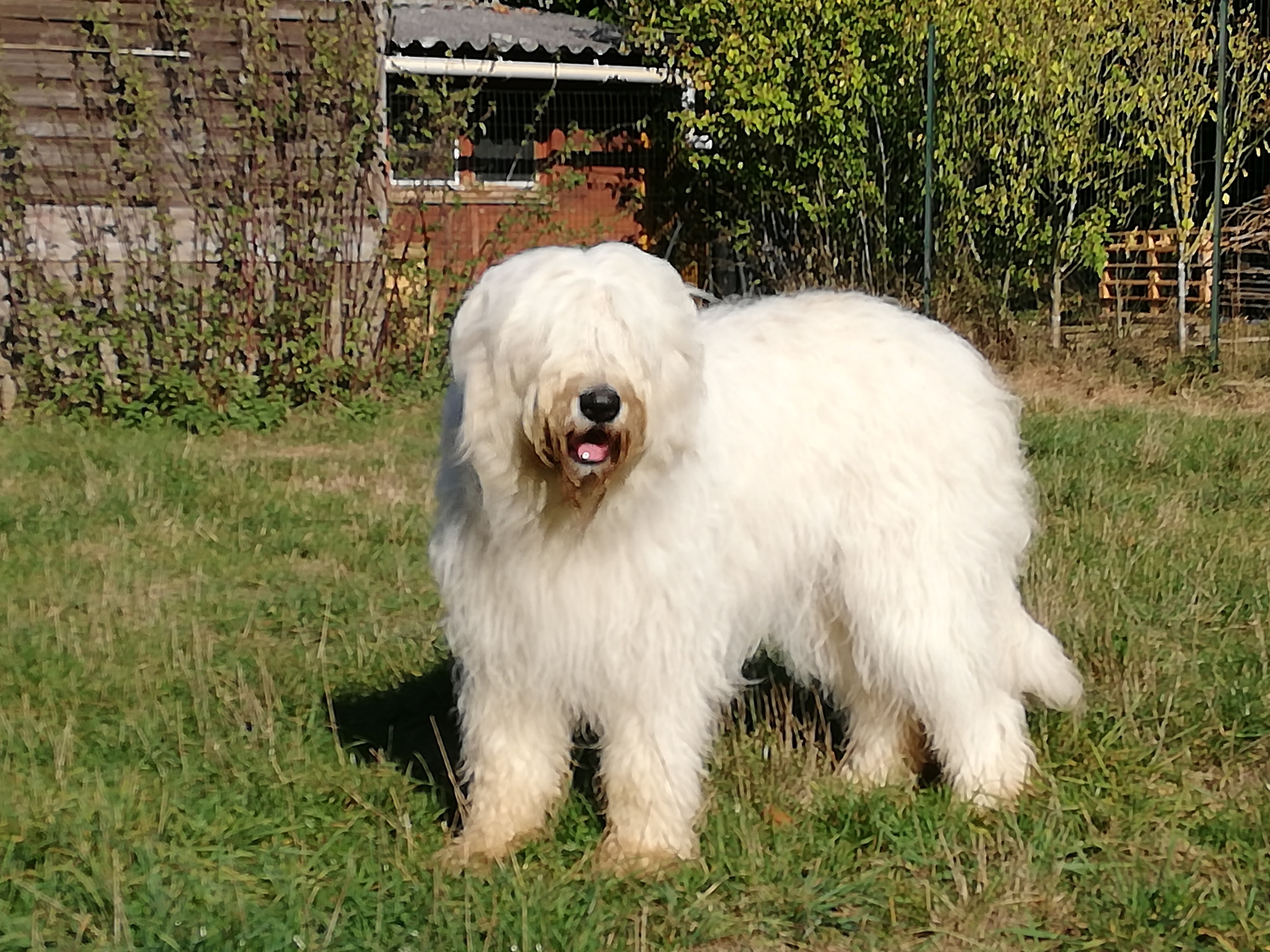 Publication : du Clos de L'Igloo Auteur : Melle peiroux valerie 