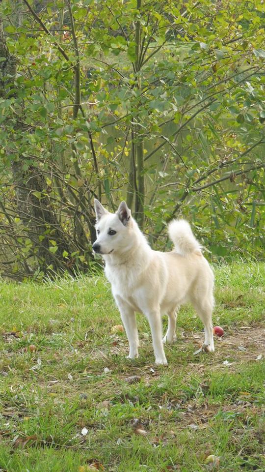 Publication : du domaine de l'odet 