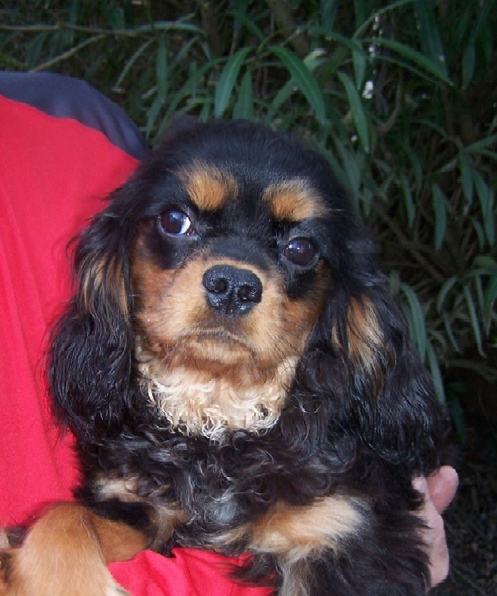 Publication : du mont d'amour 