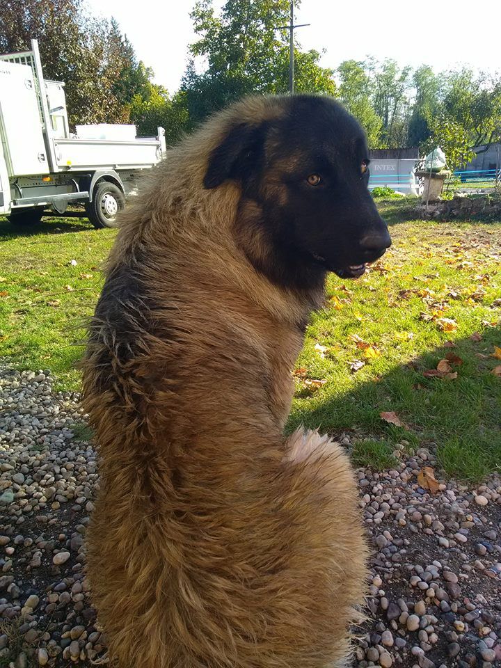 Publication : (Sans Affixe) Auteur : de la Vallée du Douro