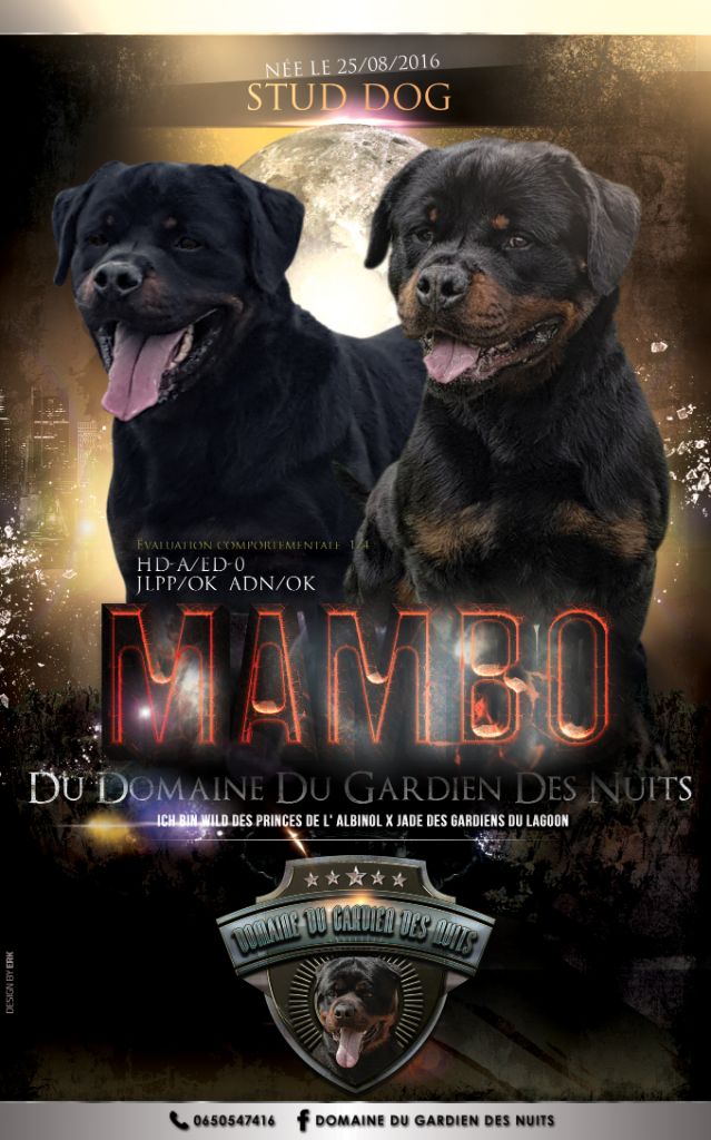 Mambo Du Domaine Du Gardien Des Nuits