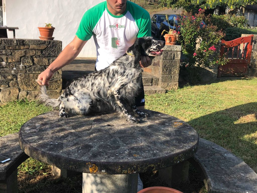 Publication : de Lapurdi Auteur : Yves Larralde