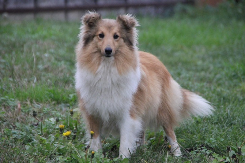 Publication : Vanora Jone's