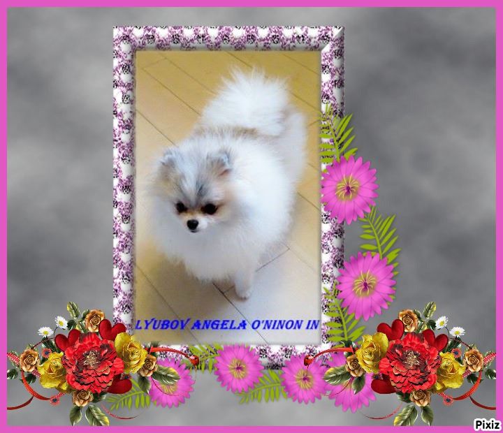  Auteur : Michèle cardinet