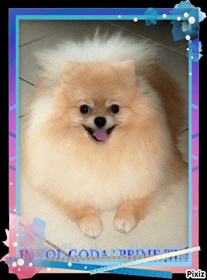  Auteur : Michèle Cardinet