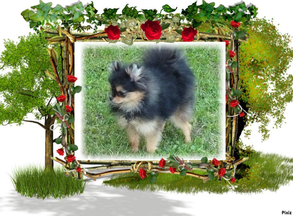 Auteur : Michèle Cardinet