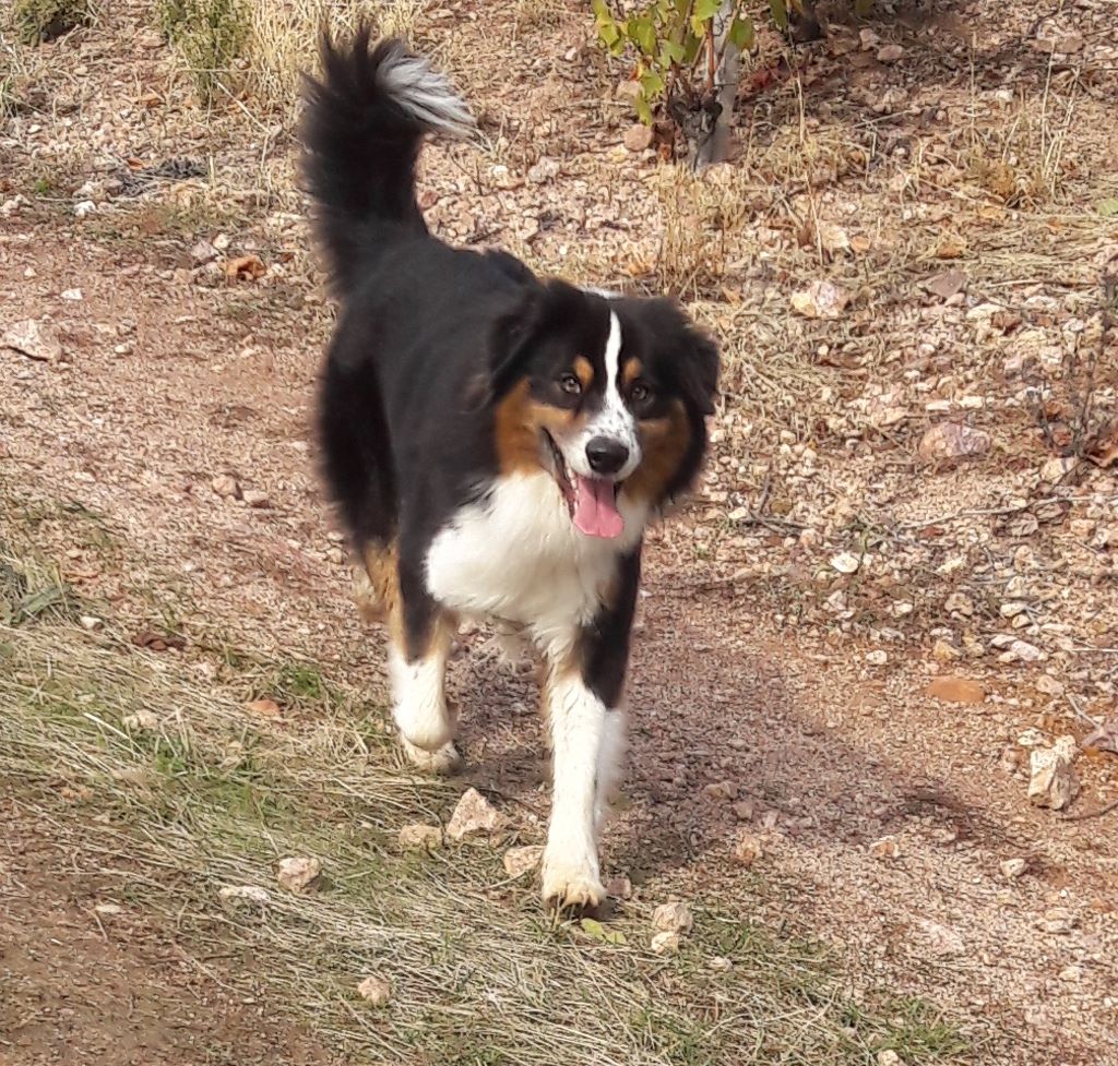 Publication : (Sans Affixe)