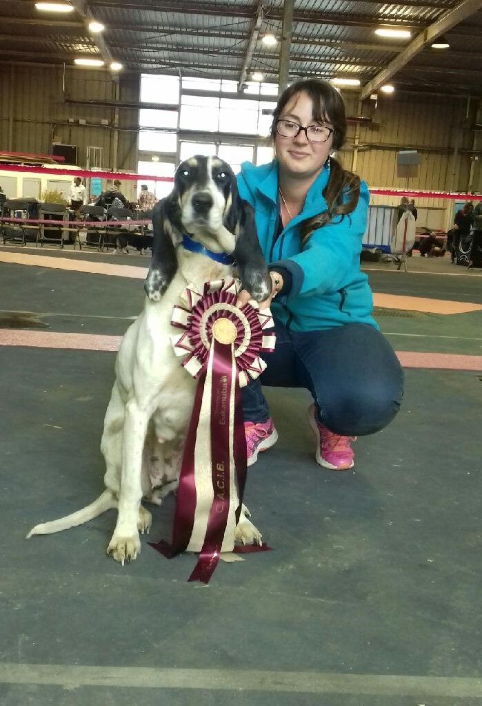 Publication : Des Crieurs Du Tuc De La Perdrix 