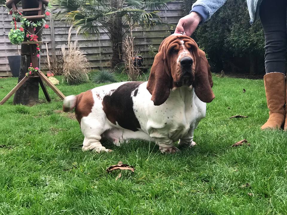 Publication : Des Terres De Beaulieu Auteur : Vere Margot