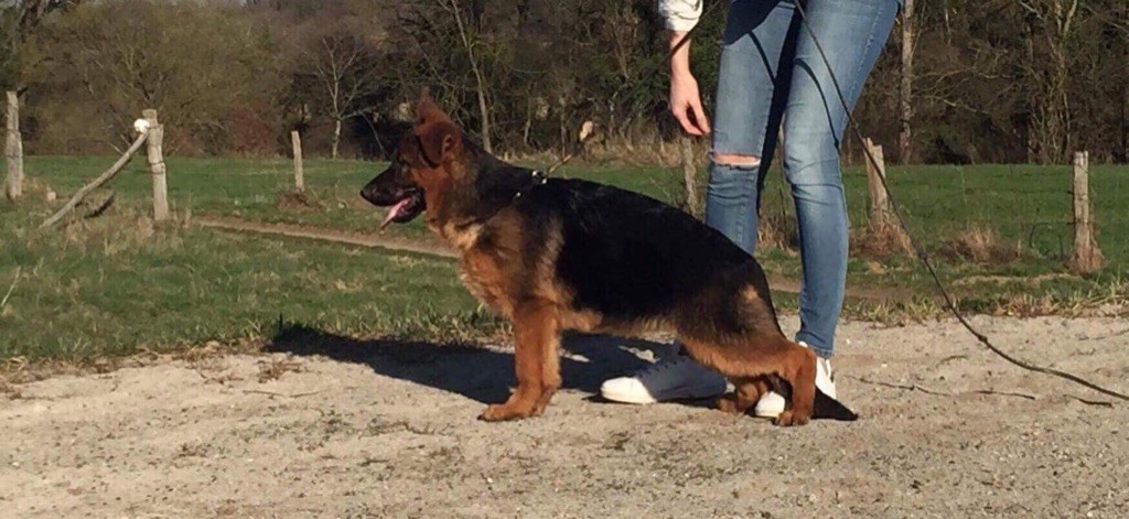 Publication : du clan des gladiateurs 