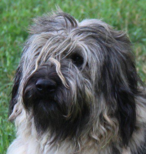 Publication : de Norimatys 