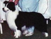 CH. maghera Ghost in the machine