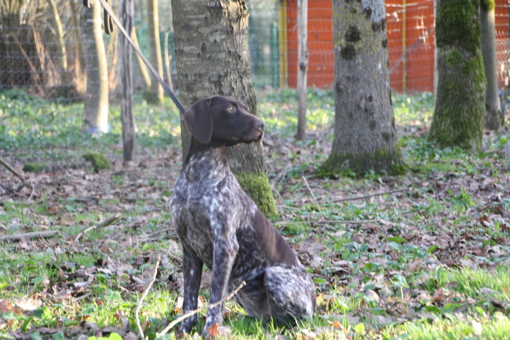 Publication : du Marais de Saintonge 