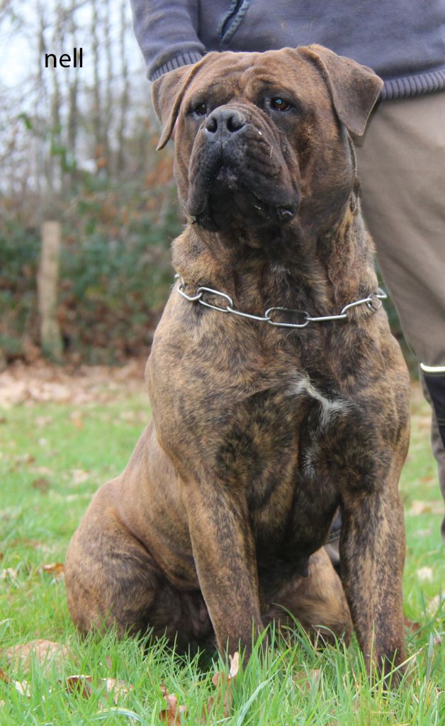 Publication : De la butte de Goliath 