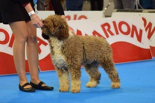 Narol senda del eo Vom Hause Kristo