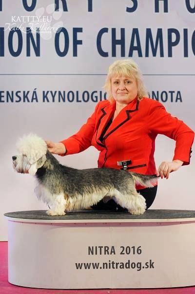 CH. dariant Daniel es bueno