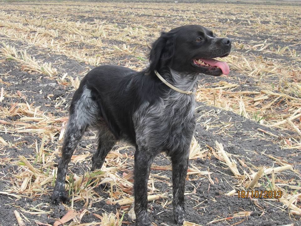 Eustache de keranlouan