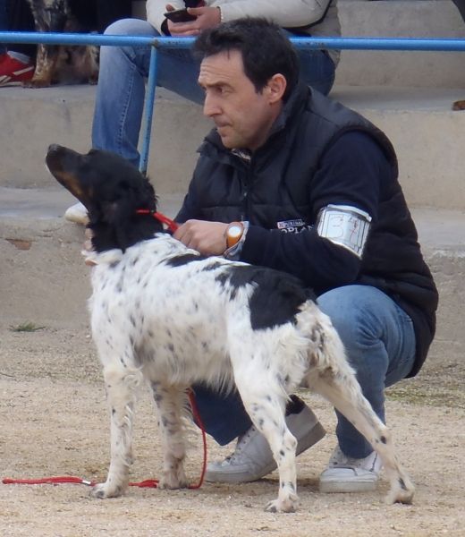 Historia de keranlouan