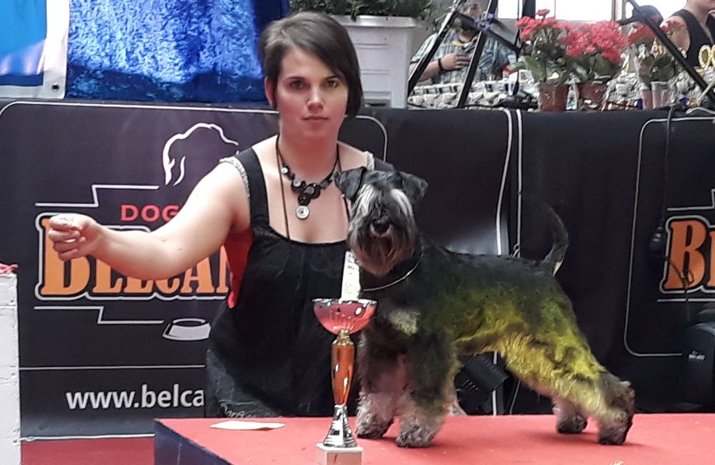 Publication : Magic Ianood 