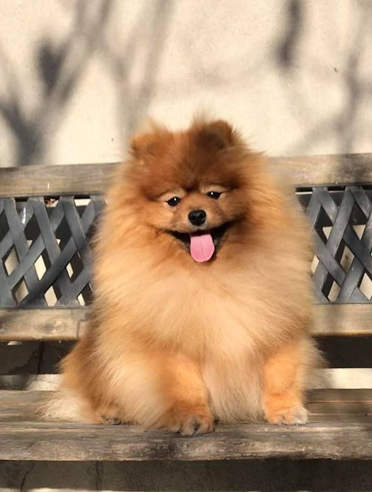  Auteur : valerie jaffard