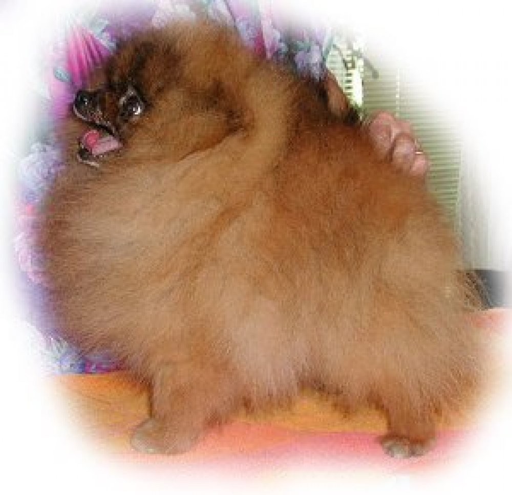 Creider truckin on tulsa time