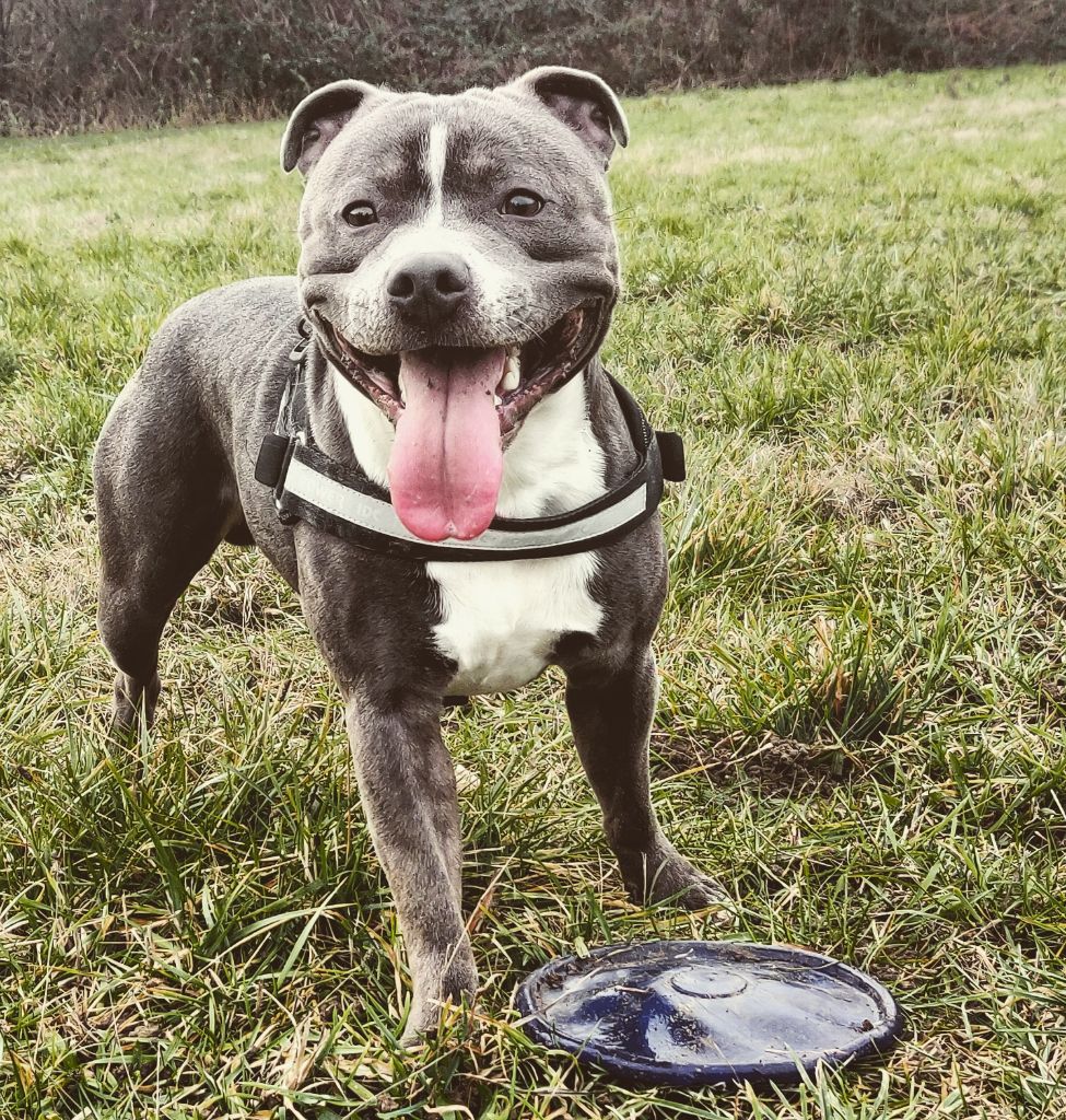 Publication : (Sans Affixe) Auteur : Jordy espin