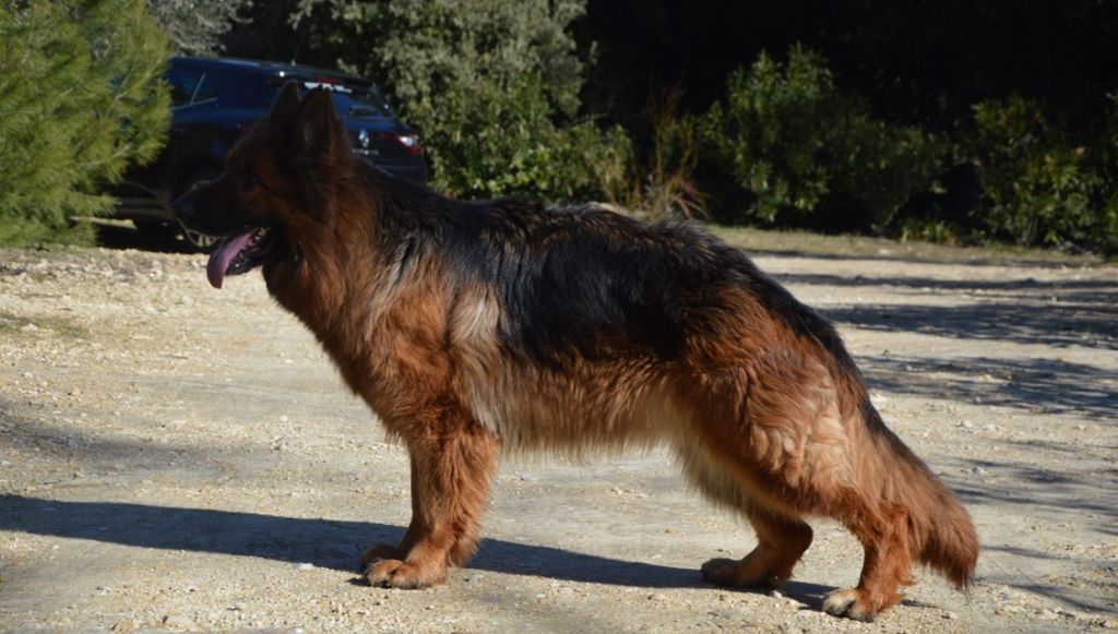 Publication : Des Terres D'Harmony