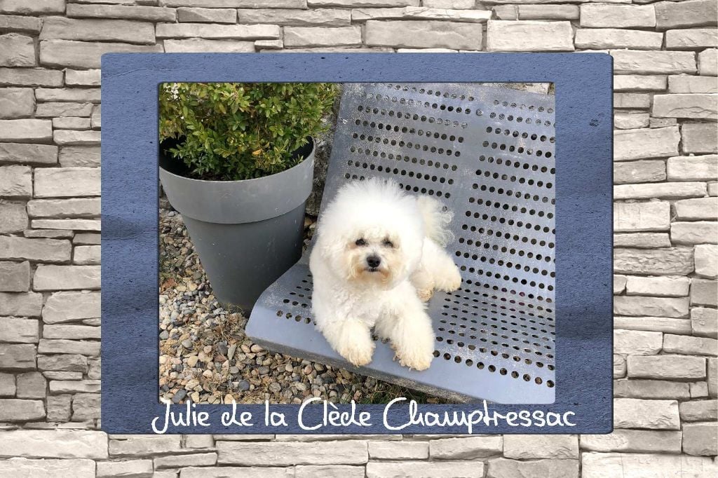 Julie De La Clède Champtressac
