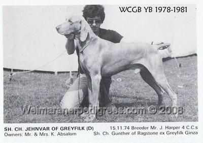 TR. CH. Jehnvar of greyfilk