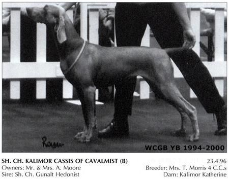 TR. CH. Kalimor cassis of cavalmist