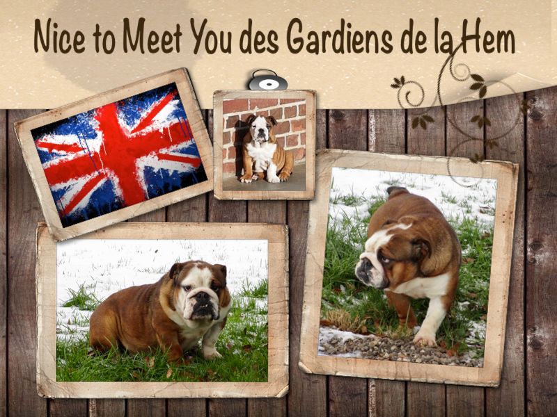 Publication : des gardiens de la Hem Auteur : PASCALE CAMBIER