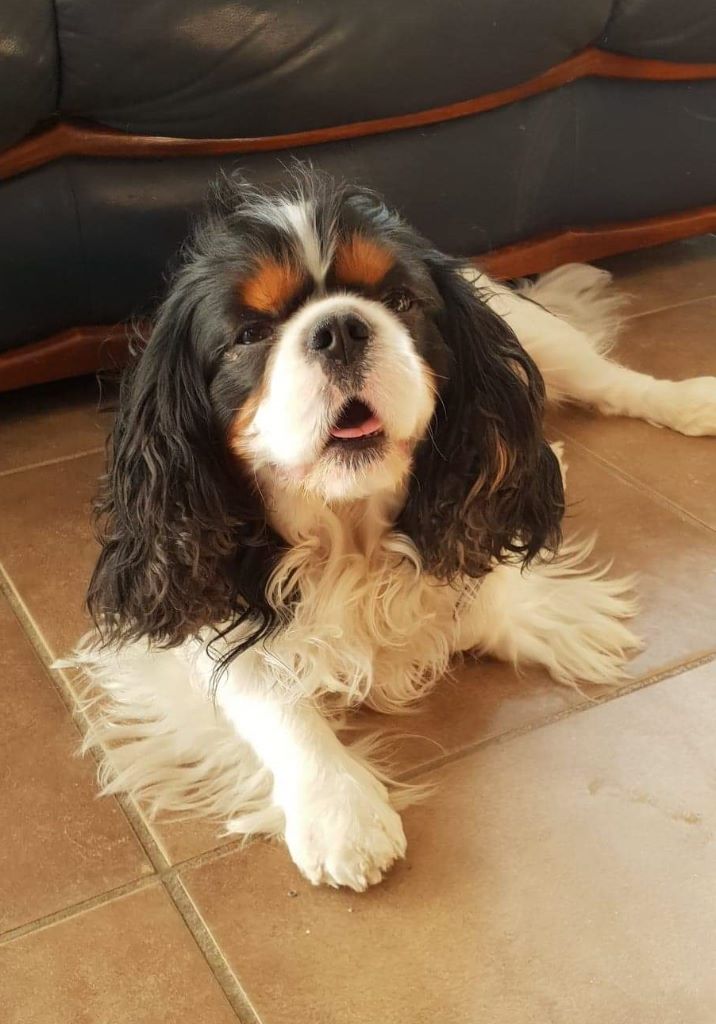 James-dean Du puits des sortileges