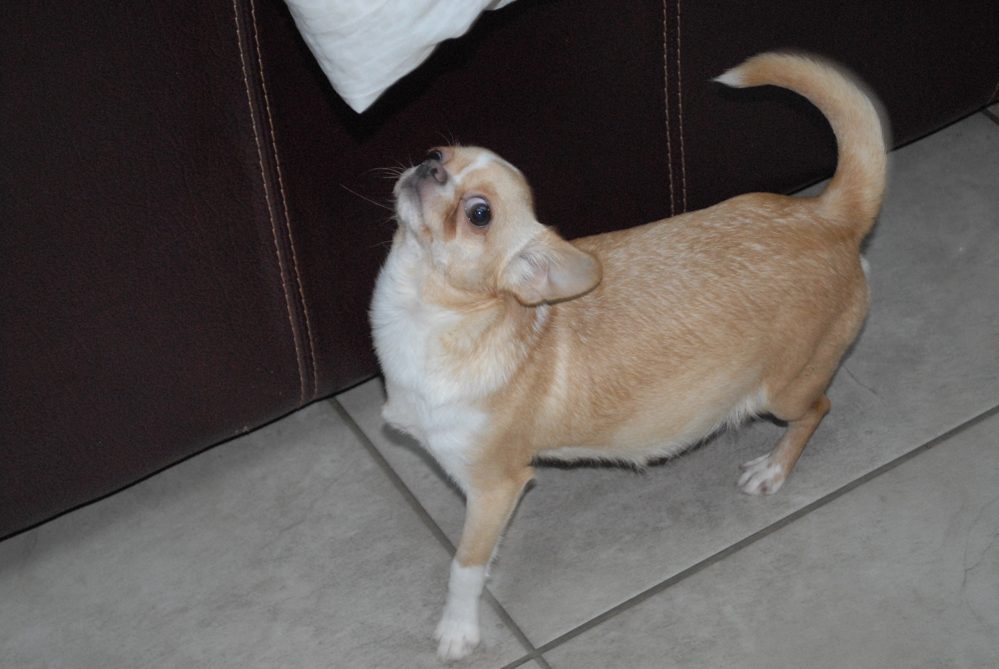 Olga Des Roses De Lolita