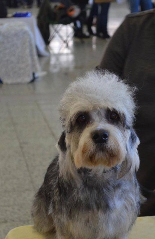 CH. Maybe sampa terra