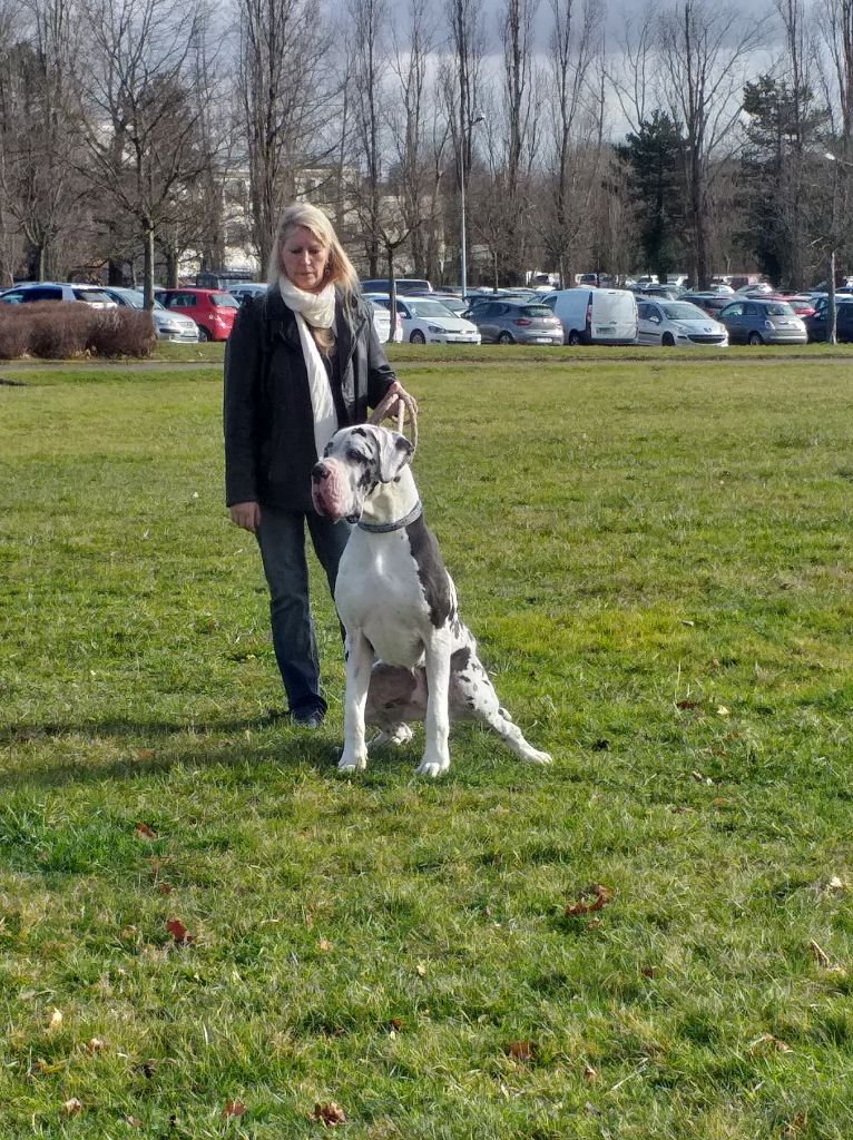 Lansky du Val de Courame