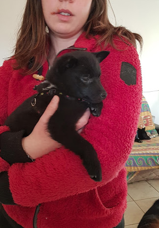 Publication : des Grandes Voies 