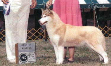 CH. innisfree By design