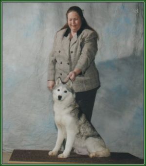 innisfree Kimba wood