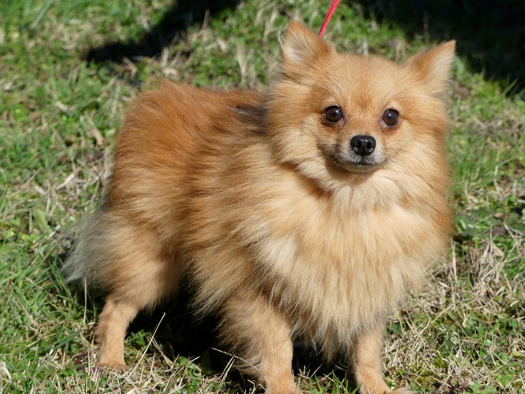 Publication : du Domaine de kaliméro 