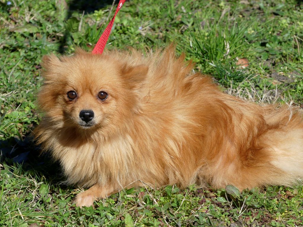 Publication : du Domaine des Ecorces