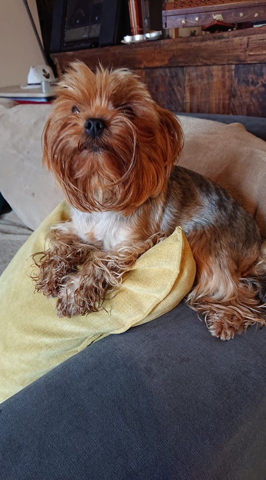 Let's go Des Lutins De Cornouaille